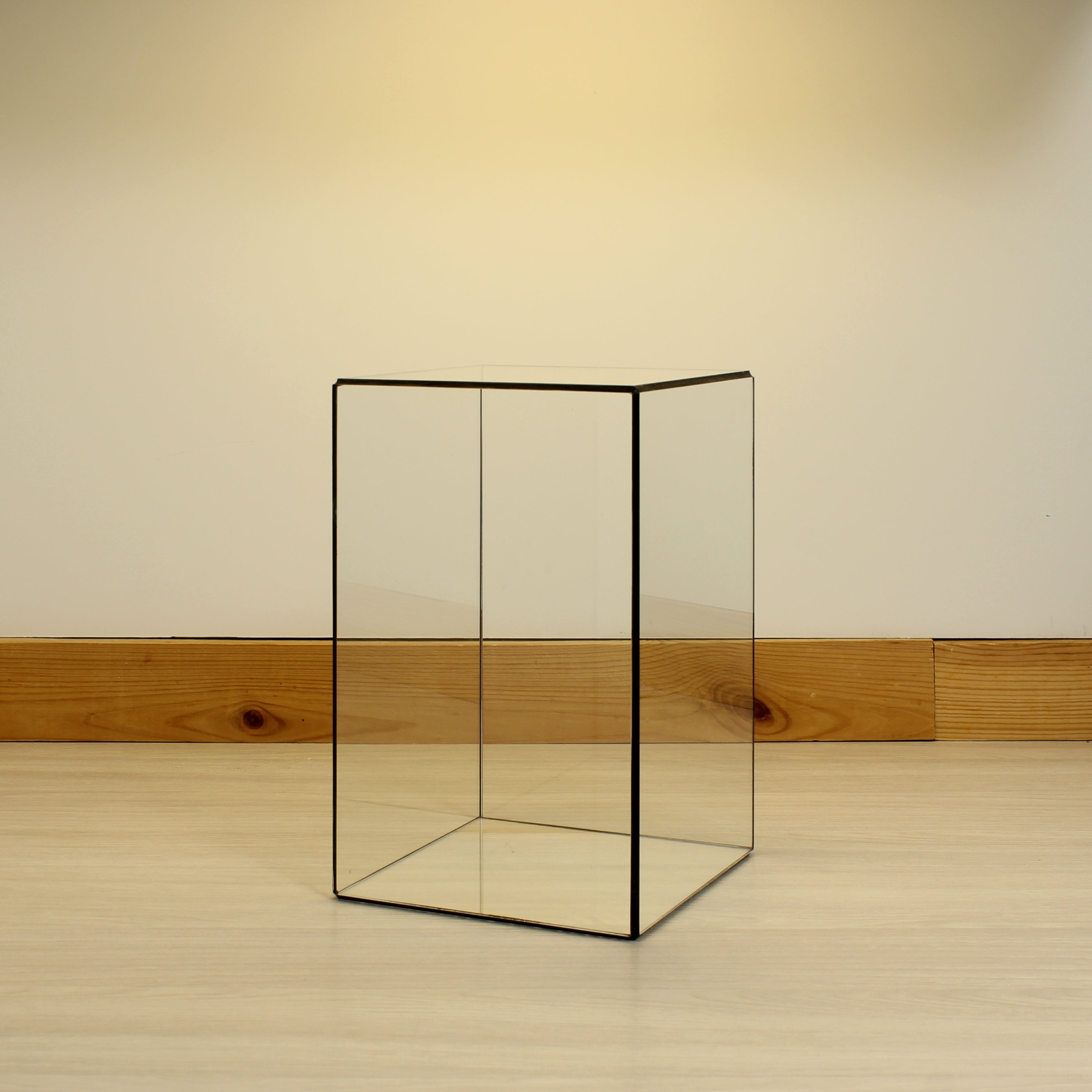 Glass Display Case – Rectangular Glass Showcase for Jewelry, Collectibles, Photos & Sculptures