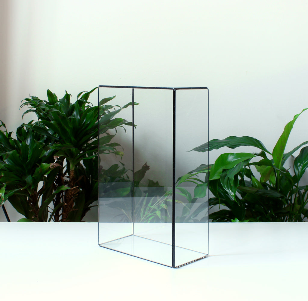 Glass Display Case – Rectangular Glass Showcase for Jewelry, Collectibles, Photos & Sculptures