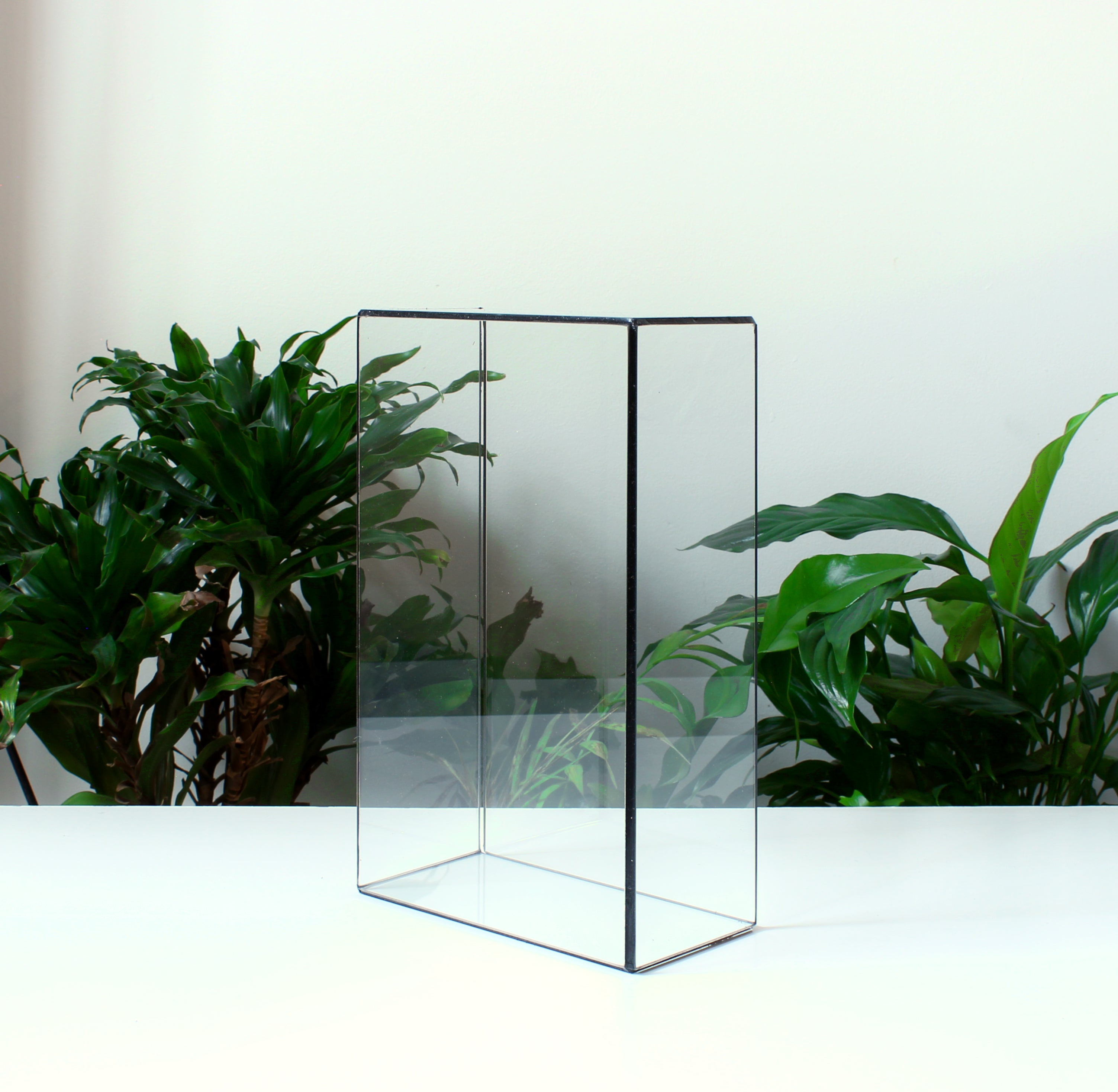 Glass Display Case – Rectangular Glass Showcase for Jewelry, Collectibles, Photos & Sculptures
