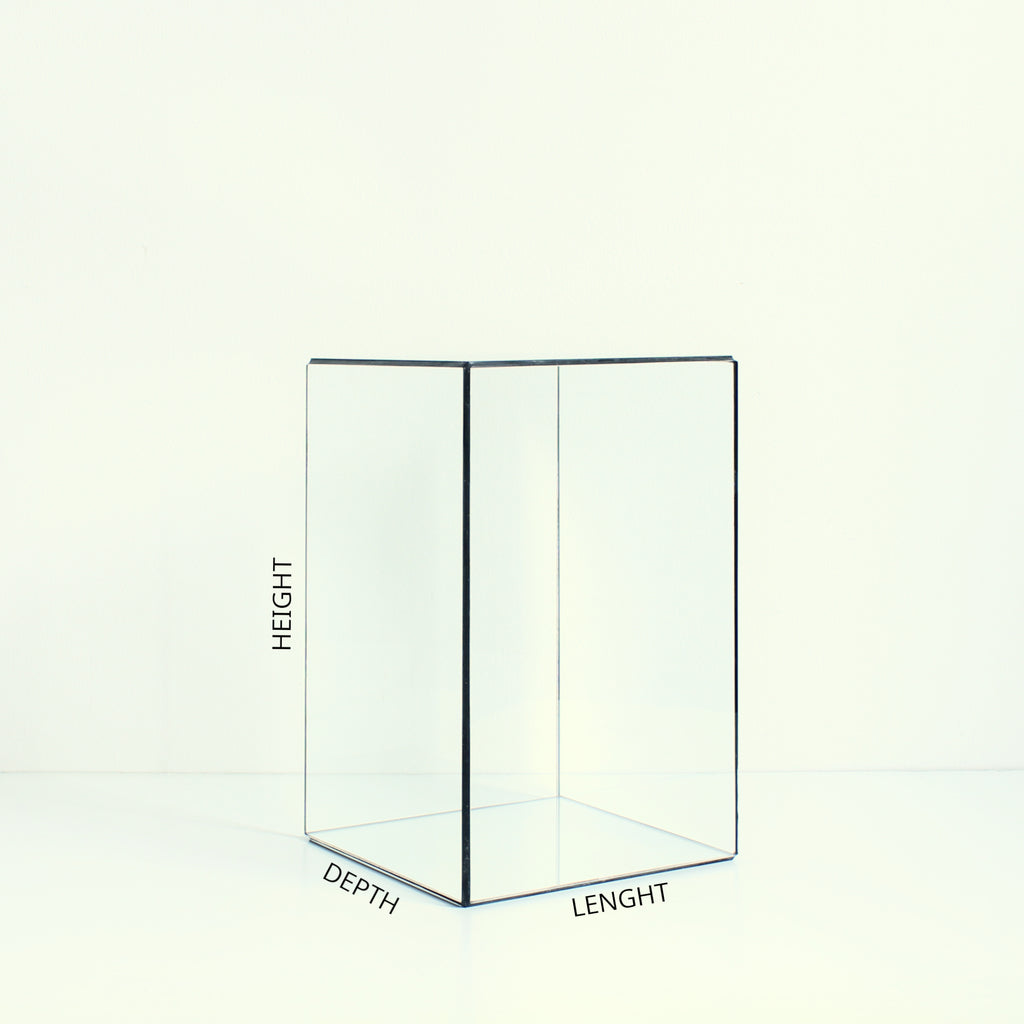 Glass Display Case – Rectangular Glass Showcase for Jewelry, Collectibles, Photos & Sculptures