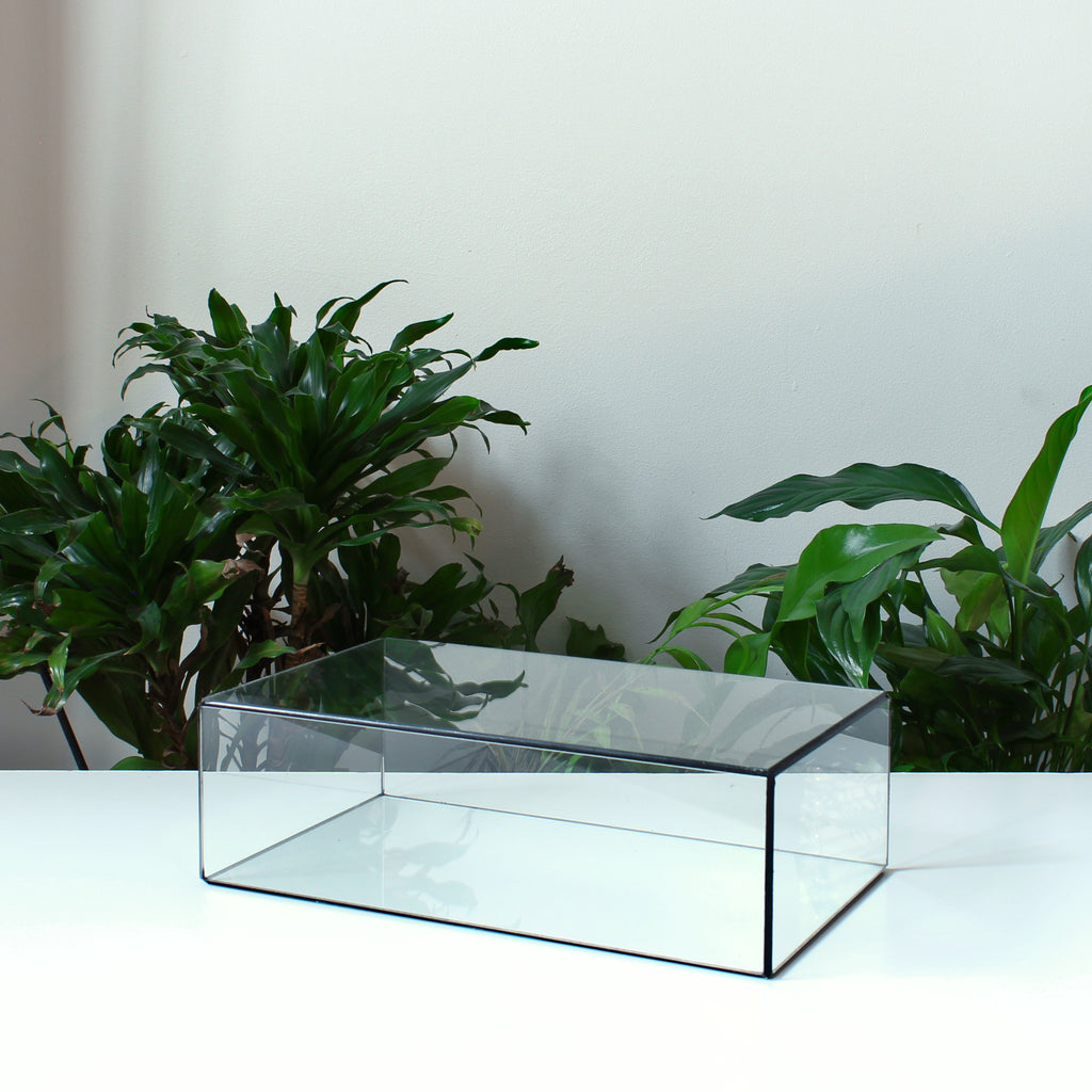 Glasvitrine – Rechteckige Glasvitrine für Schmuck, Sammlerstücke, Fotos & Skulpturen