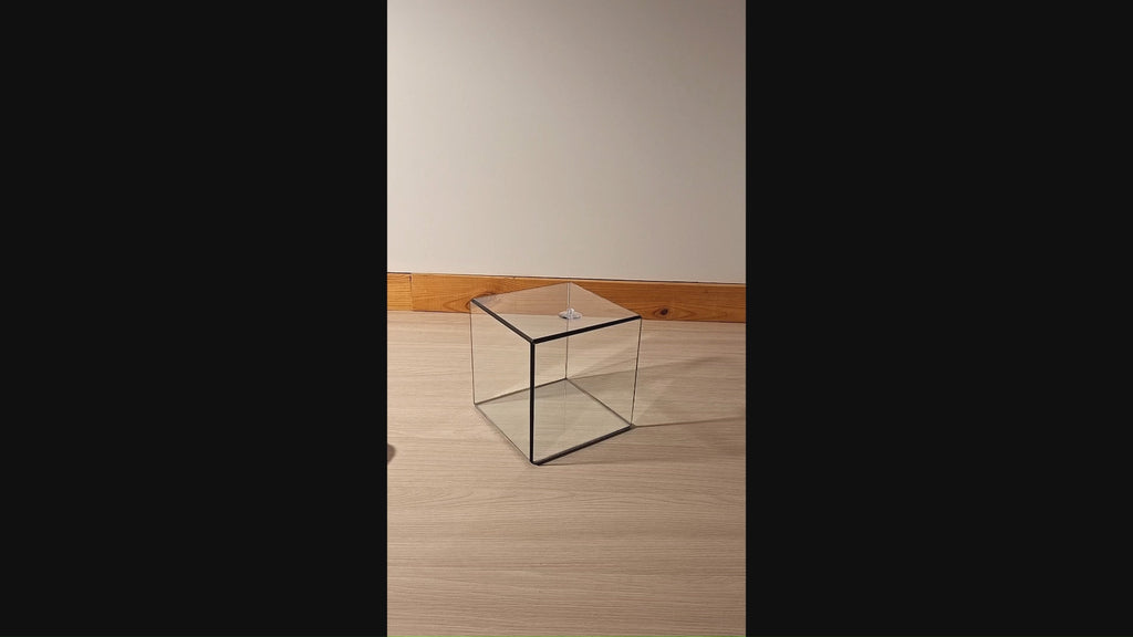 Glasvitrine – Rechteckige Glasvitrine für Schmuck, Sammlerstücke, Fotos & Skulpturen