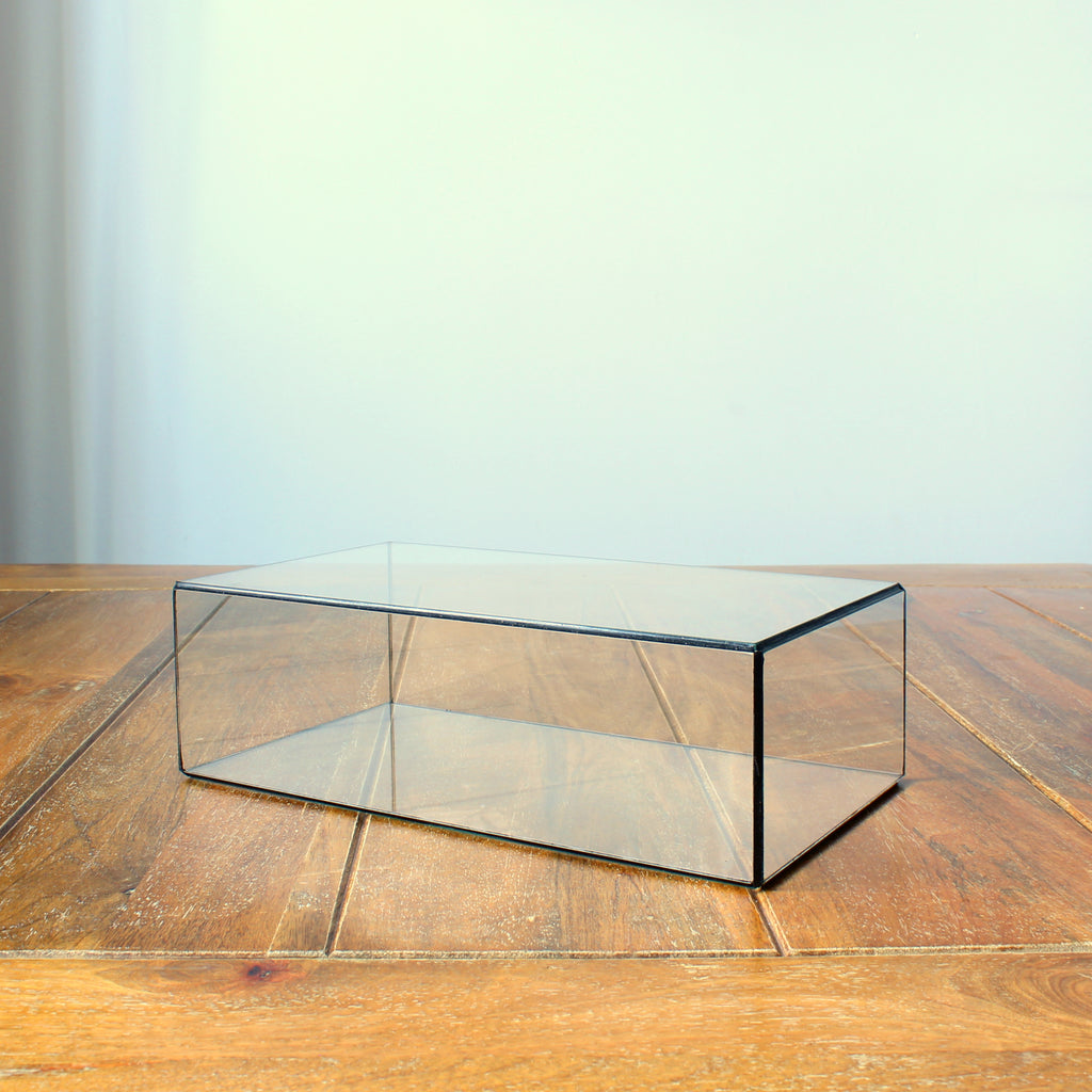 Glasvitrine – Rechteckige Glasvitrine für Schmuck, Sammlerstücke, Fotos & Skulpturen