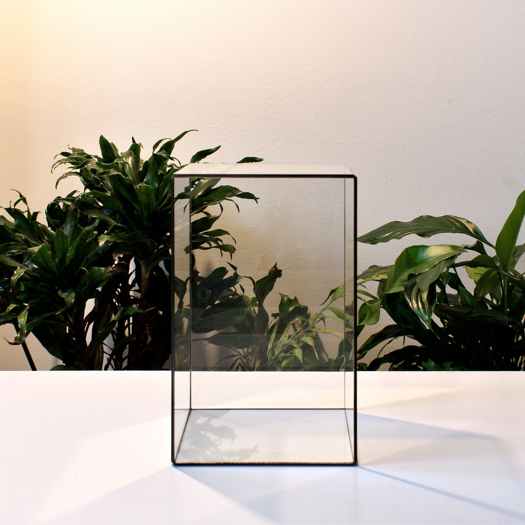 Glass Display Case – Rectangular Glass Showcase for Jewelry, Collectibles, Photos & Sculptures