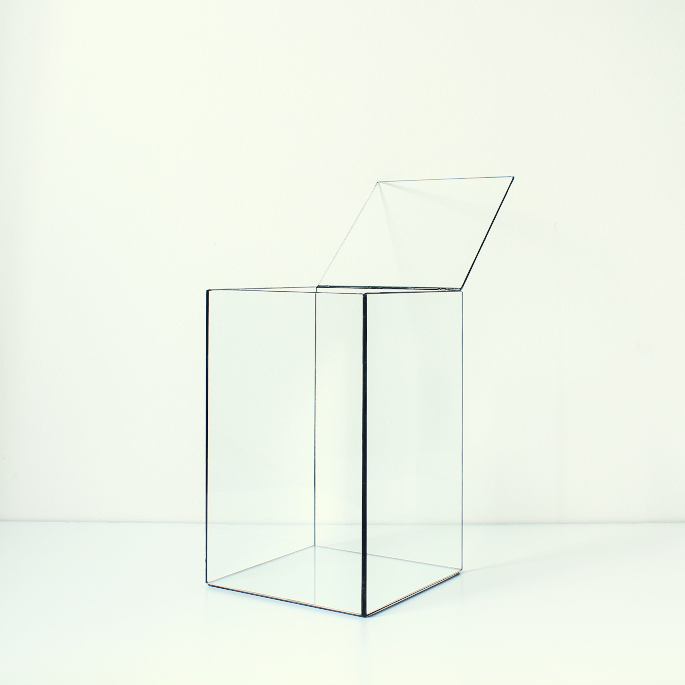 Glass Display Case – Rectangular Glass Showcase for Jewelry, Collectibles, Photos & Sculptures